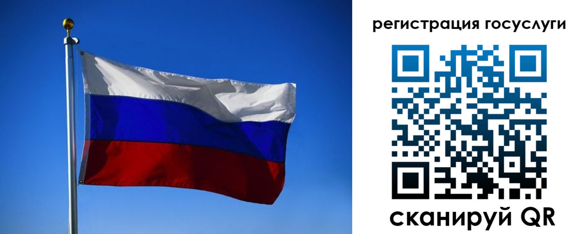 найти адрес прописки в Заречном